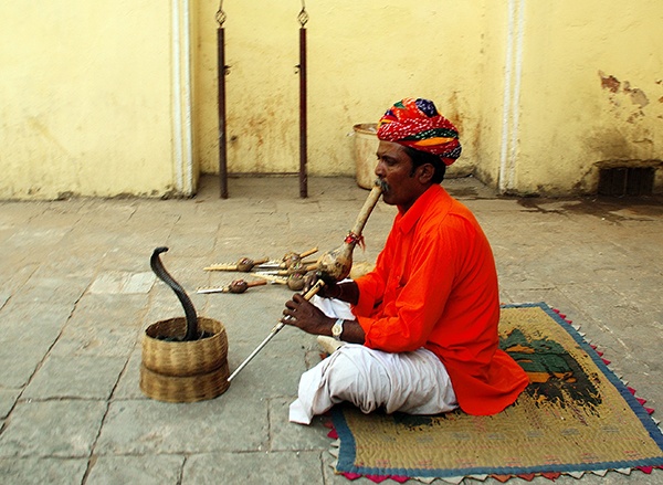 Snake Charmer | Jaipur | Rajasthan