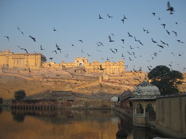 Amer Fort | Jaipur | Rajasthan