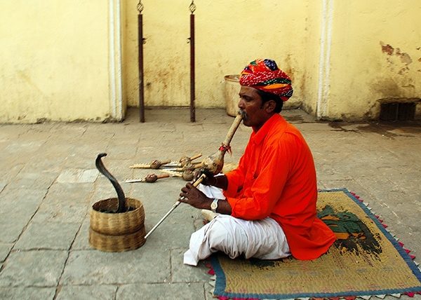 Snake Charmer | Jaipur | Rajasthan